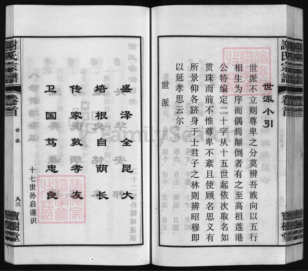 图片[5]-安徽桐城双港铺谢氏宗谱（宝树堂）电子版PDF下载-中华家谱网