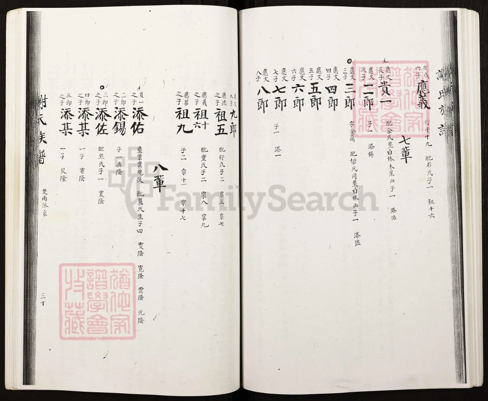 图片[6]-湖南新化谢氏族谱电子版PDF下载-中华家谱网