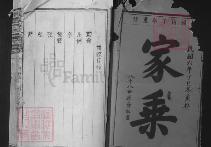 江西景德镇武威石氏宗谱-中华家谱网