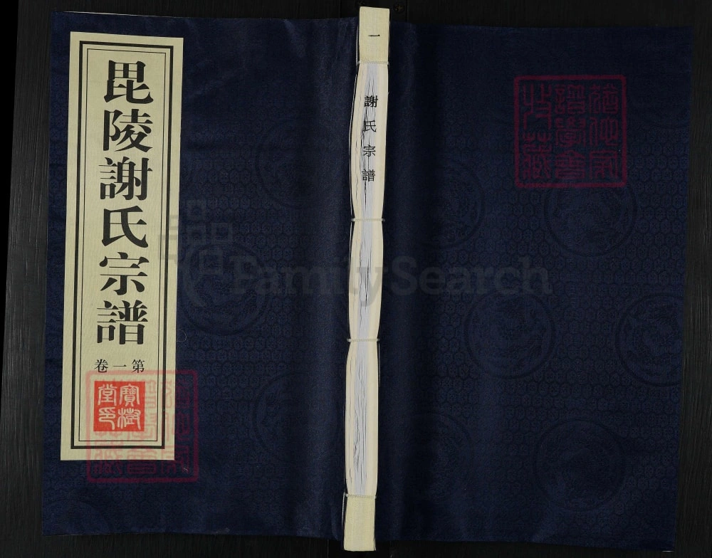 图片[1]-江苏常州武进区毘陵谢氏宗谱（宝树堂）电子版PDF下载-中华家谱网