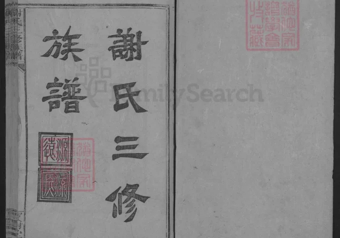 湖南娄底新化谢氏三修族谱（宝树堂）-中华家谱网