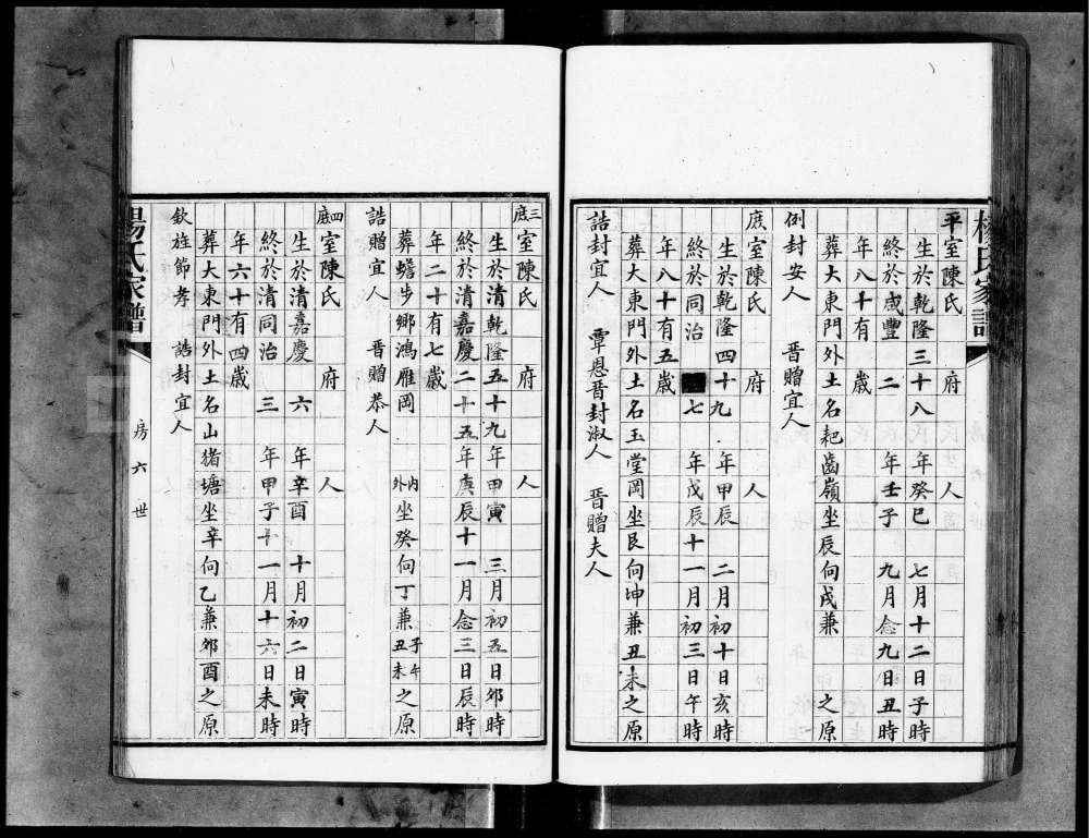 图片[8]-广东广州城西杨氏家谱电子版PDF下载-中华家谱网