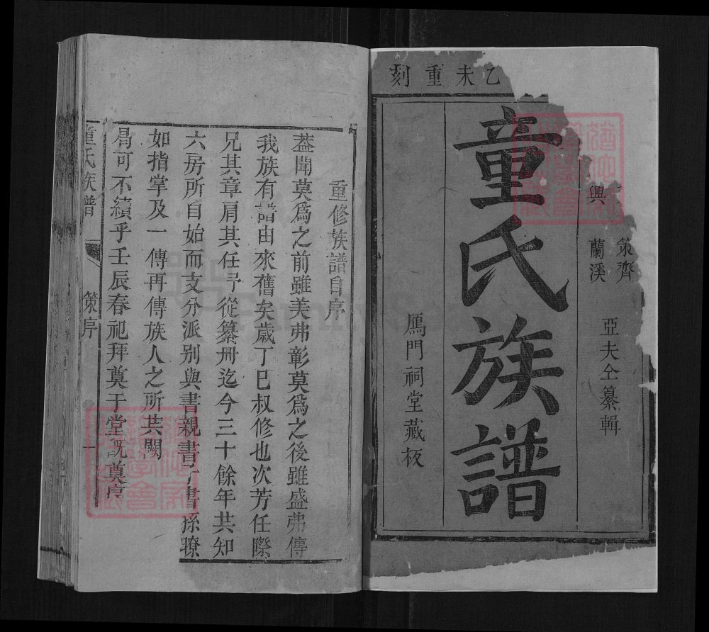 图片[1]-湖南岳阳平江童氏族谱电子版PDF下载-中华家谱网