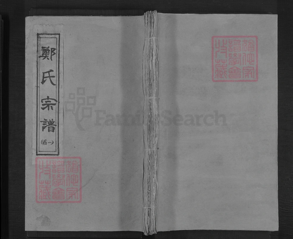 图片[1]-湖北通山郑氏宗谱（通德堂）电子版PDF下载-中华家谱网