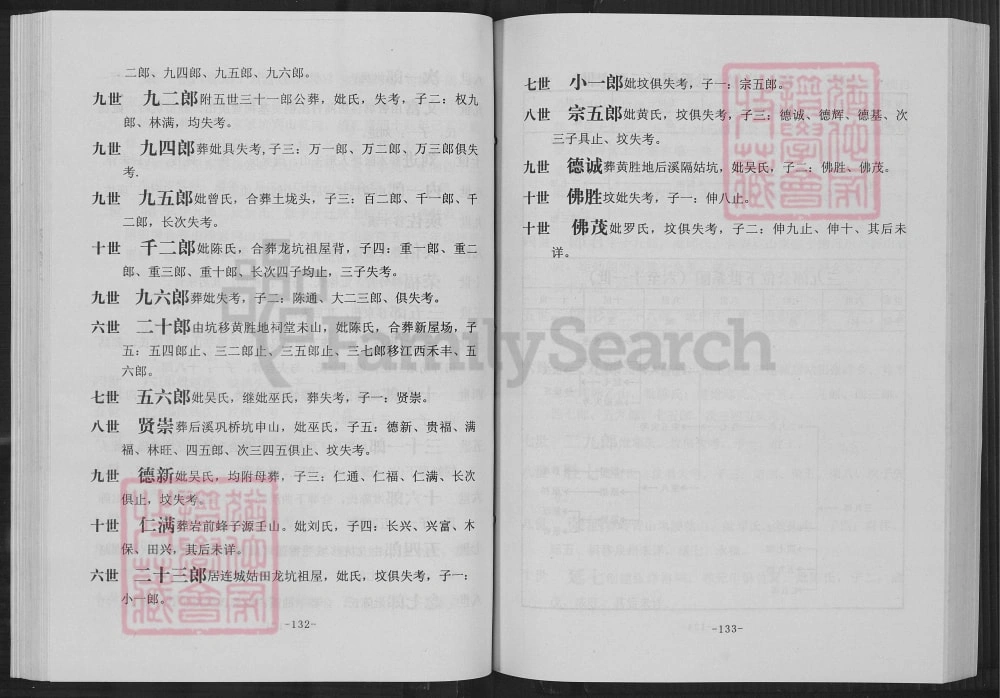 图片[8]-江西赣州于都县华氏族谱京一郎世系首修（京瑛堂）电子版PDF下载-中华家谱网