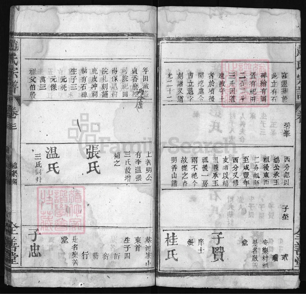 图片[8]-湖北麻城赵氏宗谱（全善堂）电子版PDF下载-中华家谱网