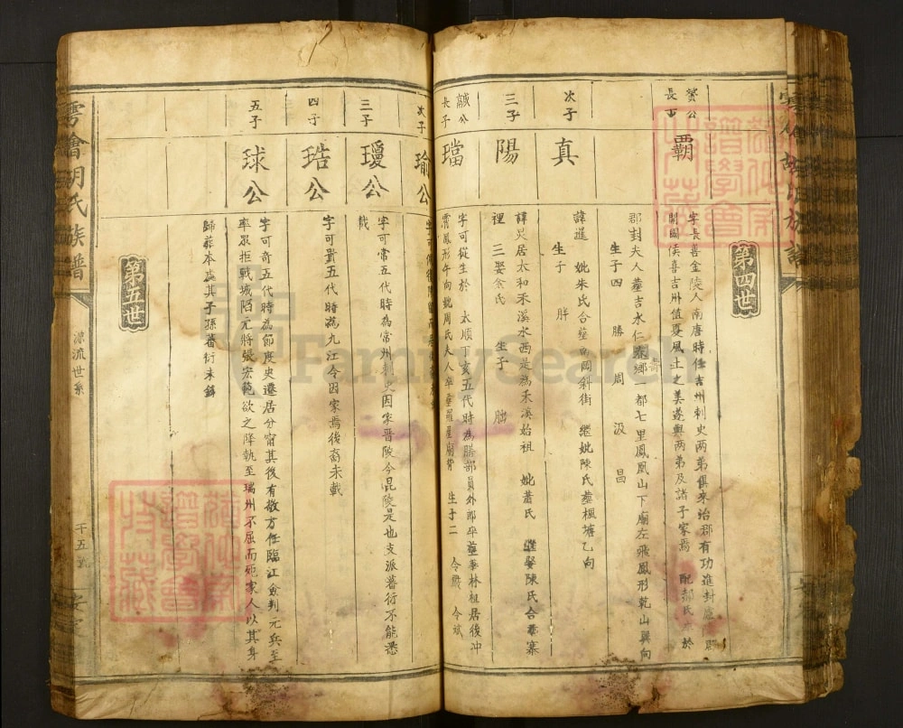 图片[7]-江西赣州会昌县雩会胡氏族谱（安定堂）电子版PDF下载-中华家谱网