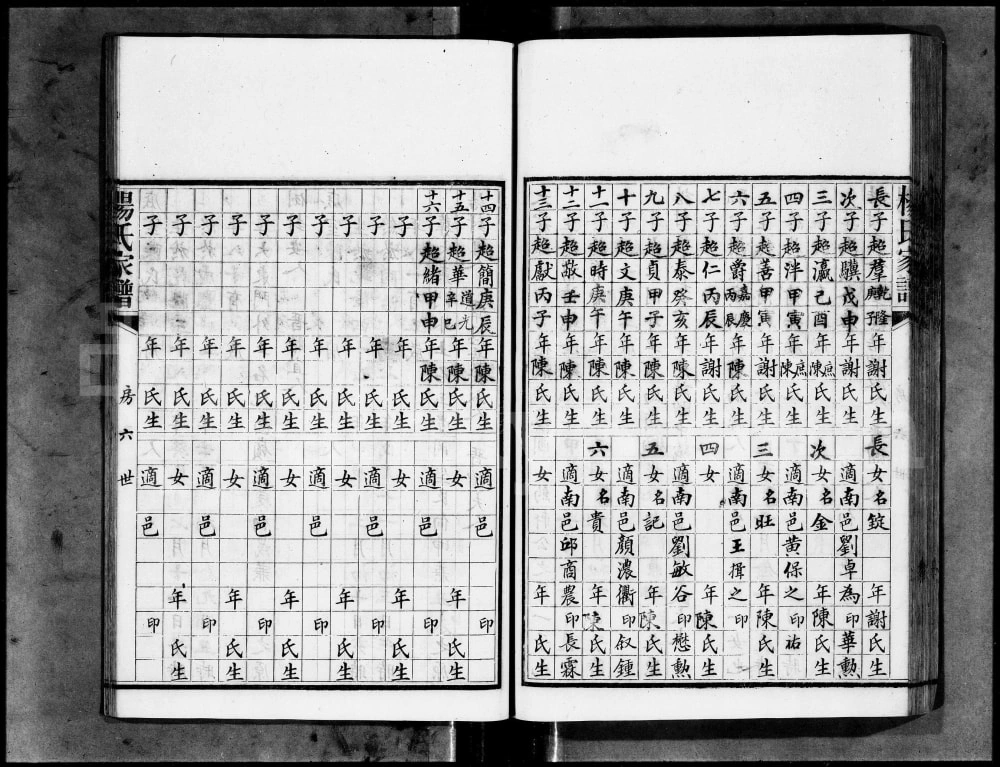 图片[7]-广东广州城西杨氏家谱电子版PDF下载-中华家谱网