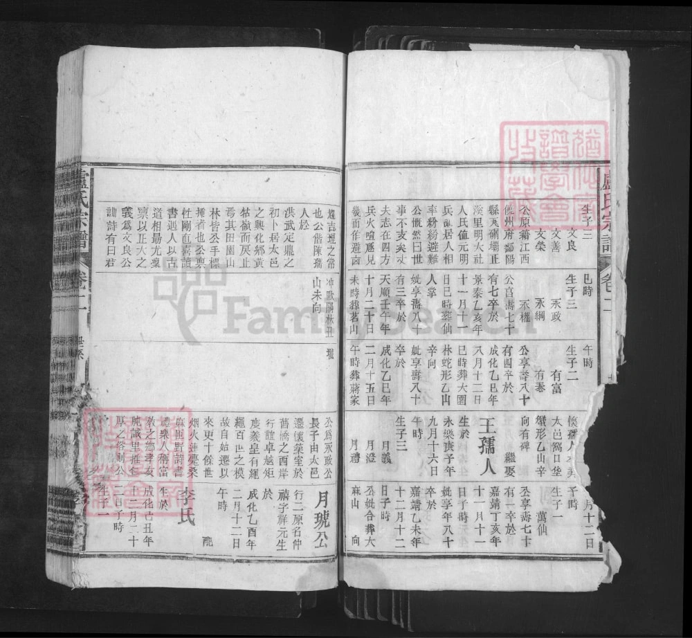 图片[7]-安徽安庆太湖县卢氏宗谱（孝友堂）电子版PDF下载-中华家谱网