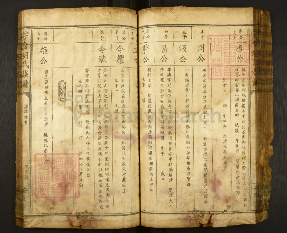 图片[8]-江西赣州会昌县雩会胡氏族谱（安定堂）电子版PDF下载-中华家谱网