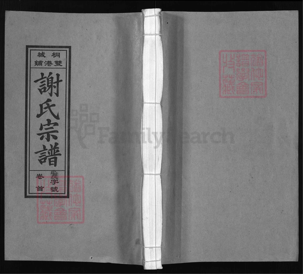 图片[1]-安徽桐城双港铺谢氏宗谱（宝树堂）电子版PDF下载-中华家谱网