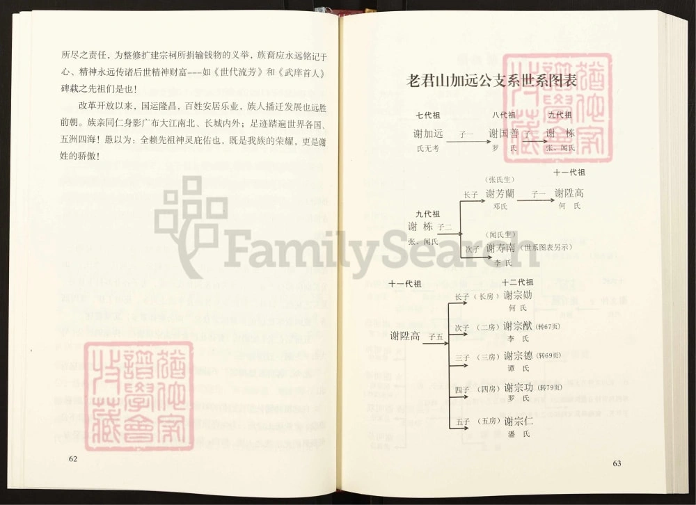图片[7]-四川达州达县谢氏初修谱电子版PDF下载-中华家谱网