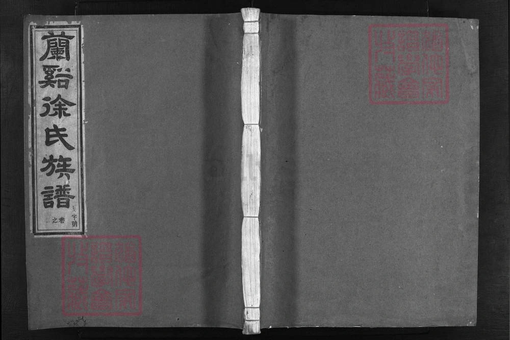 图片[1]-浙江兰溪望江楼徐氏族谱（复初堂）电子版PDF下载-中华家谱网