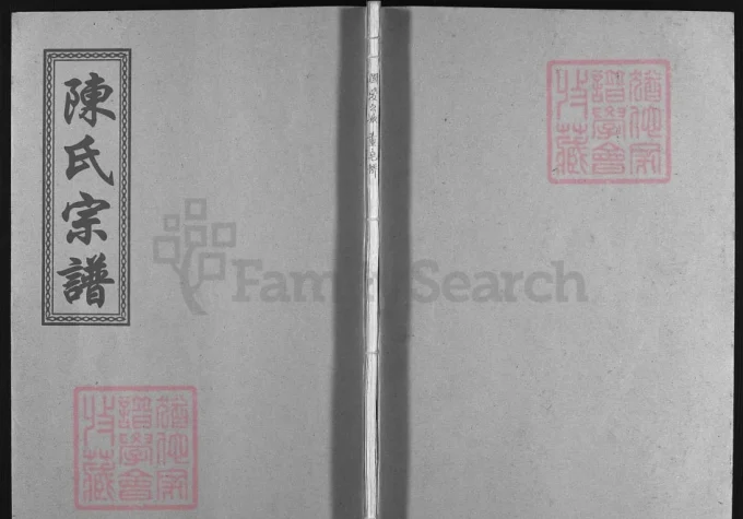 浙江温州平阳县陈氏宗谱（聚星堂）-中华家谱网