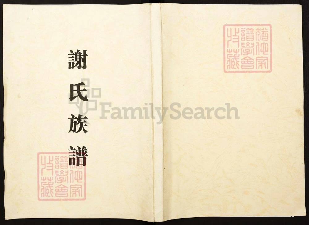 图片[1]-湖南新化谢氏族谱电子版PDF下载-中华家谱网