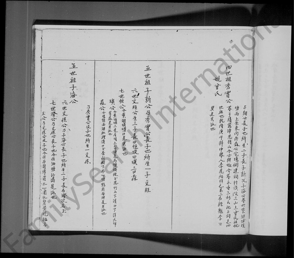 图片[6]-广东深圳宝安县小滘李氏族谱电子版PDF下载-中华家谱网