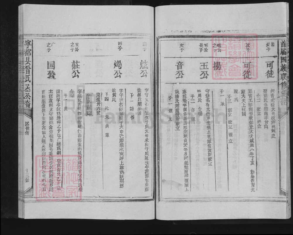 图片[8]-江西赣州宁都县曾氏丞公裔首届四族联修总谱电子版PDF下载-中华家谱网