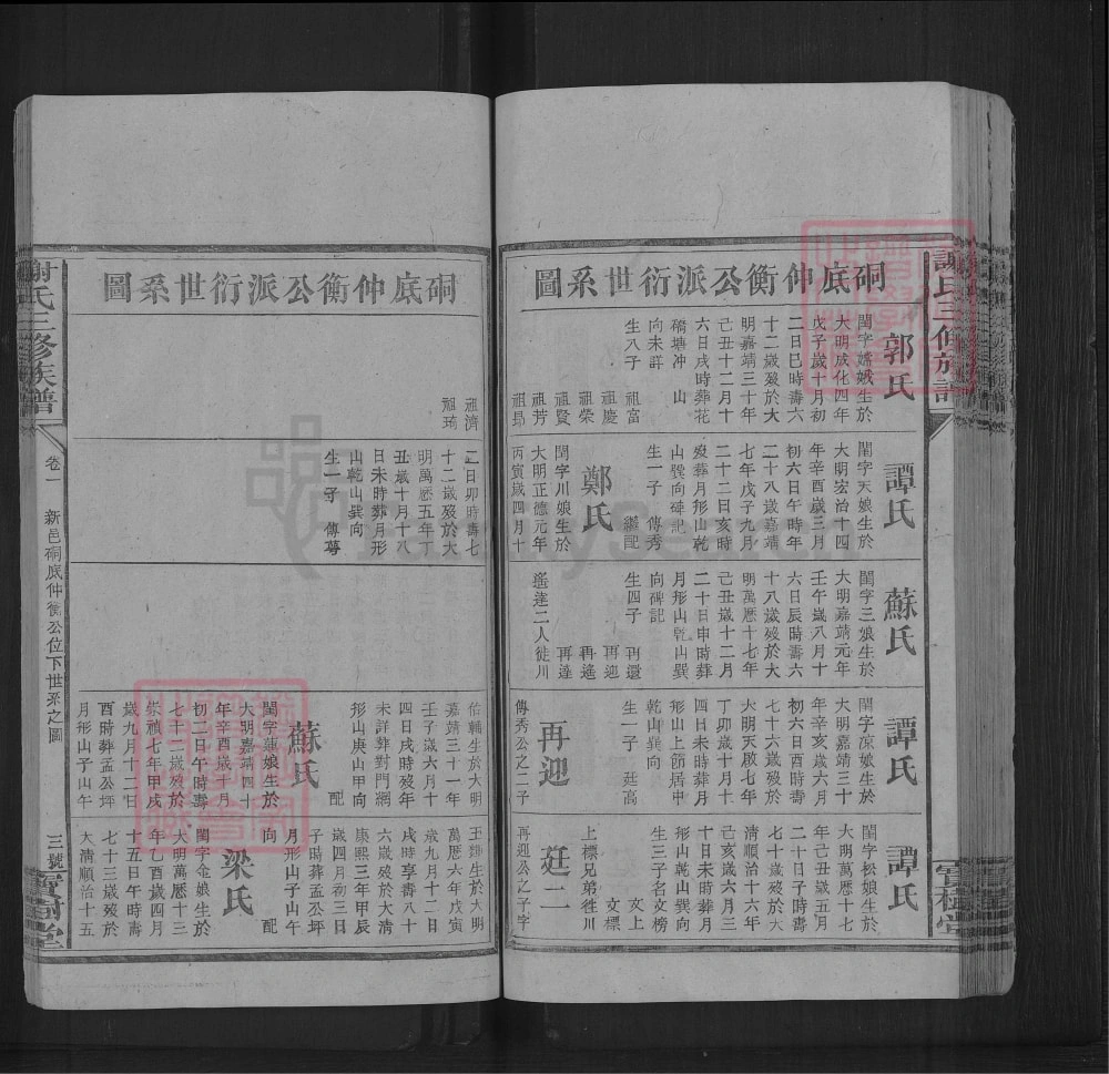 图片[8]-湖南娄底新化谢氏三修族谱（宝树堂）电子版PDF下载-中华家谱网