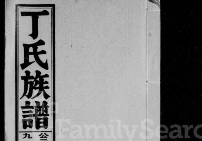 安徽怀宁丁氏族谱-中华家谱网