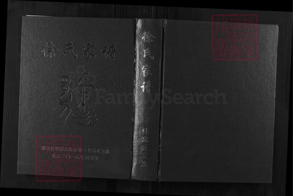 图片[1]-湖南岳阳湘阴县徐氏家谱仕忠公支族（一本堂）电子版PDF下载-中华家谱网