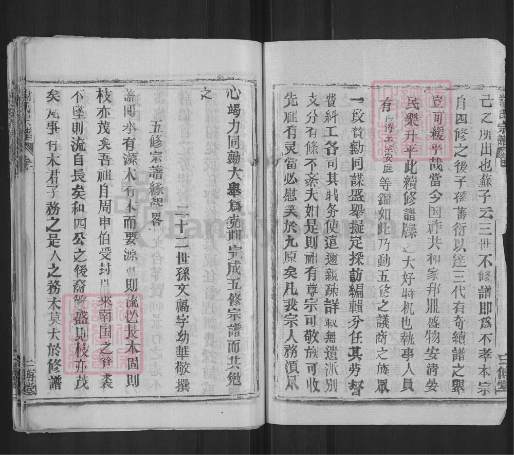 图片[3]-湖北黄冈谢氏宗谱（三传堂）电子版PDF下载-中华家谱网