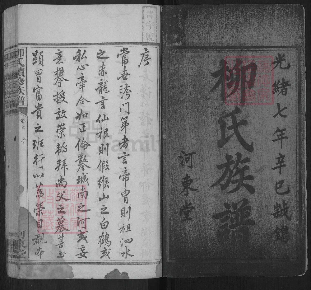 图片[2]-湖南邵阳田心柳家桥柳氏续修族谱（河东堂）电子版PDF下载-中华家谱网