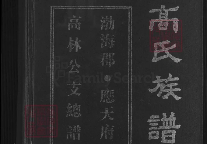 贵州毕节大方县高氏族谱高林公支总谱-中华家谱网