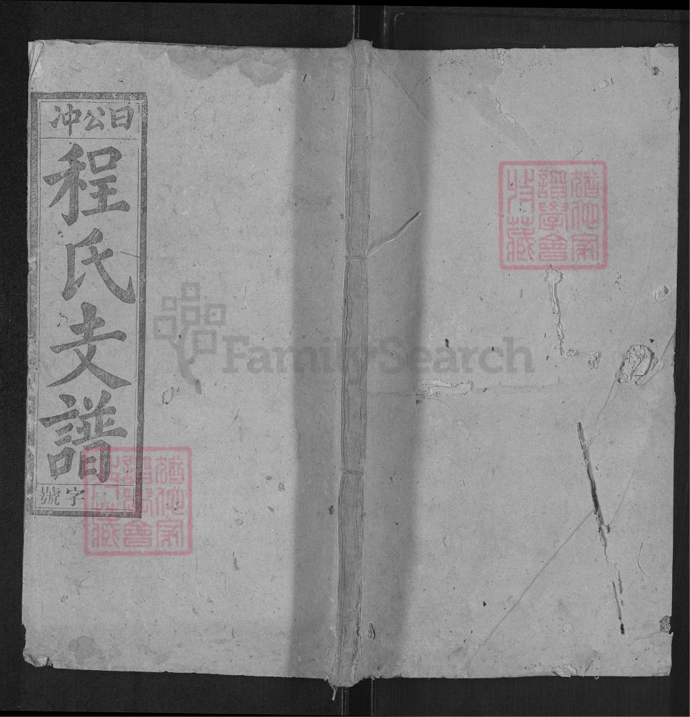 图片[1]-安徽怀宁日公冲程氏支谱（继箴堂）电子版PDF下载-中华家谱网