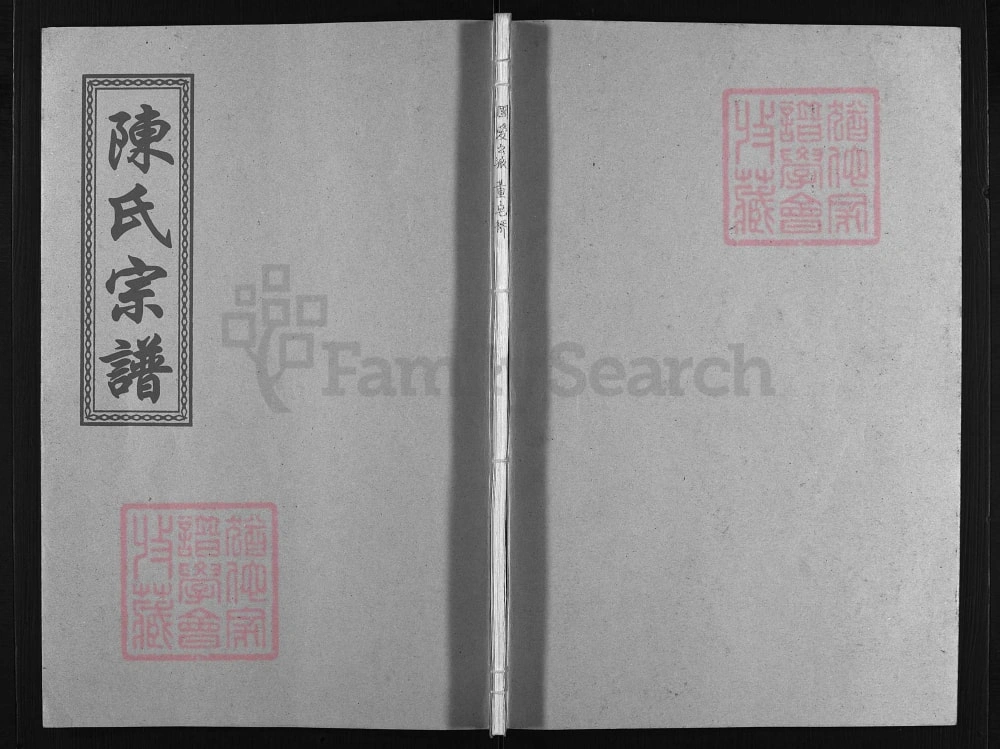 图片[1]-浙江温州平阳县陈氏宗谱（聚星堂）电子版PDF下载-中华家谱网