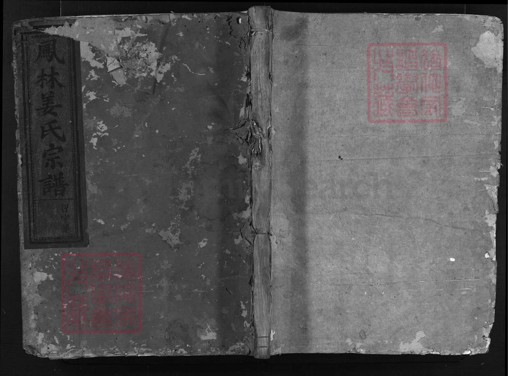 图片[1]-浙江兰溪凤林姜氏宗谱（荣新堂）电子版PDF下载-中华家谱网