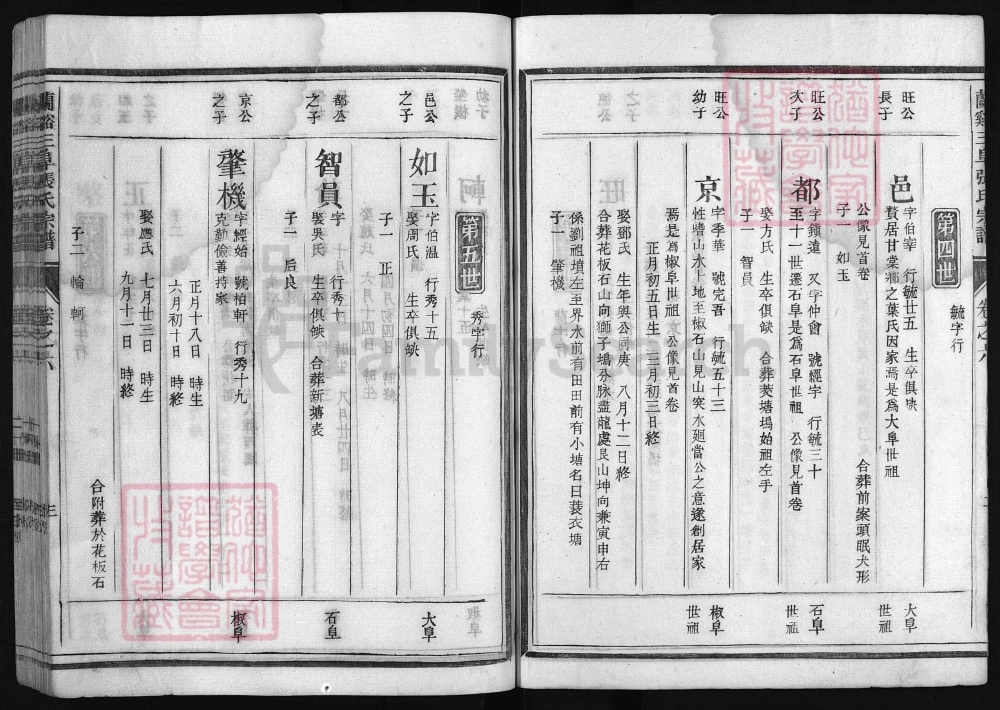 图片[7]-浙江兰溪张氏三阜宗谱电子版PDF下载-中华家谱网