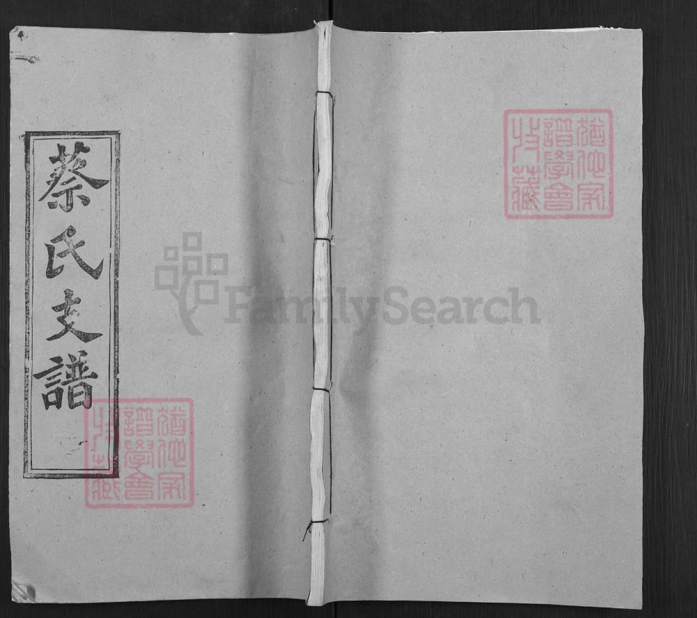 图片[1]-湖北武汉新洲区蔡氏支谱（九峰堂）电子版PDF下载-中华家谱网