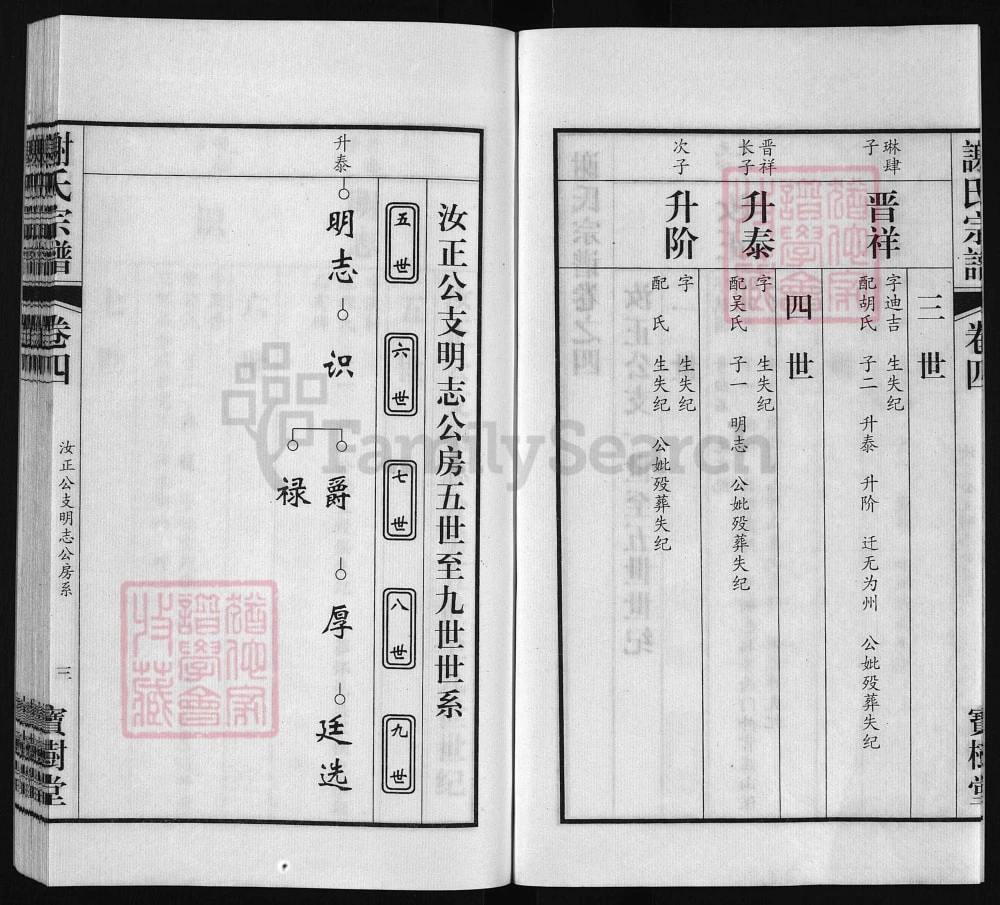 图片[7]-安徽桐城双港铺谢氏宗谱（宝树堂）电子版PDF下载-中华家谱网