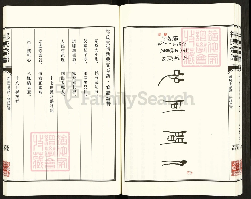 图片[6]-江苏盐城祁氏宗谱新兴支系谱（举贤堂）电子版PDF下载-中华家谱网