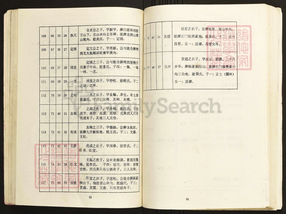 图片[8]-陕西洛南陈氏宗谱龙游庄迁陕支谱（绍义堂）电子版PDF下载-中华家谱网