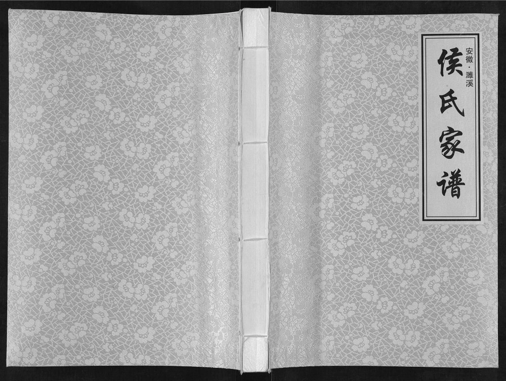 图片[1]-安徽濉溪侯氏家谱电子版PDF下载-中华家谱网