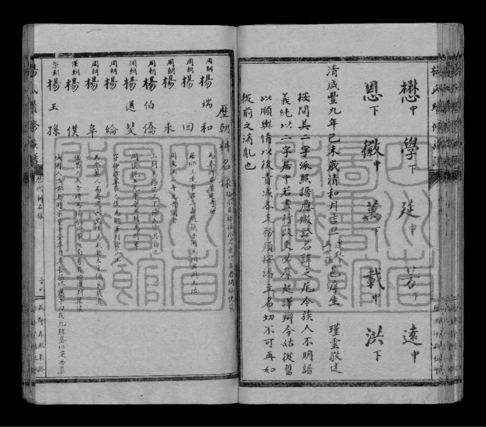 图片[3]-四川乐山犍为县杨氏续修族谱电子版PDF下载-中华家谱网