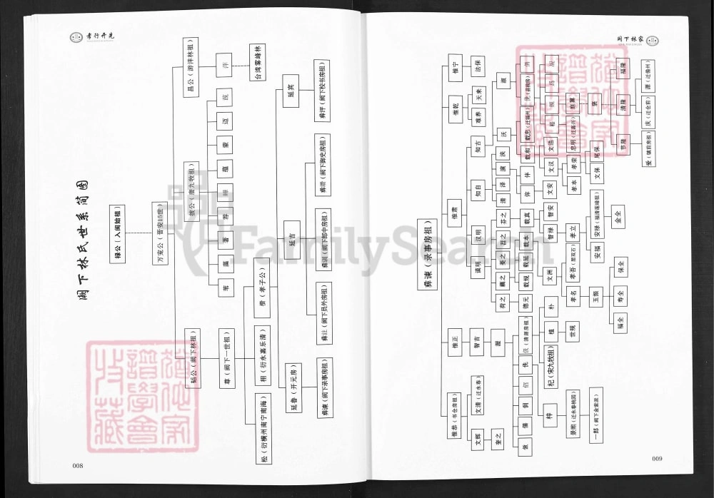 图片[8]-福建莆田仙游阙下林家家谱电子版PDF下载-中华家谱网