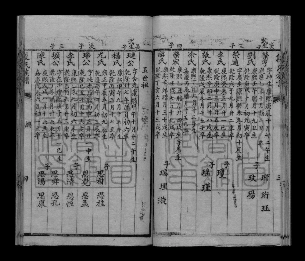 图片[7]-四川内江段氏族谱电子版PDF下载-中华家谱网