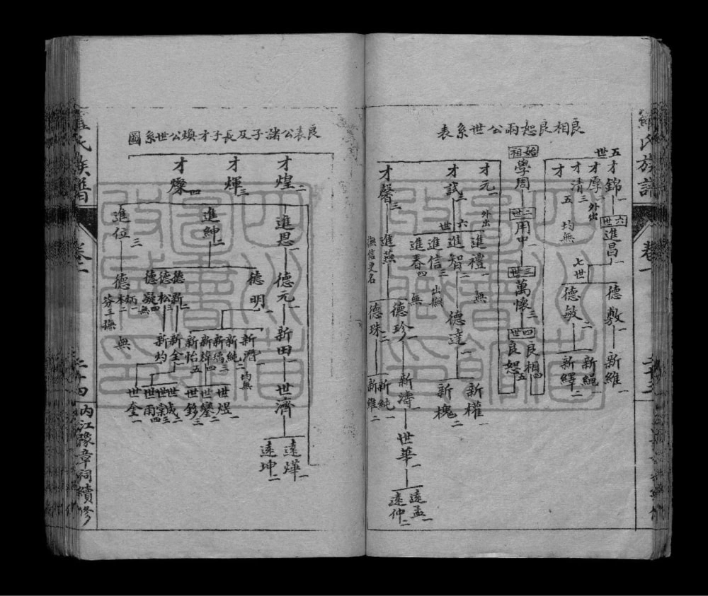 图片[8]-四川内江罗氏族谱电子版PDF下载-中华家谱网