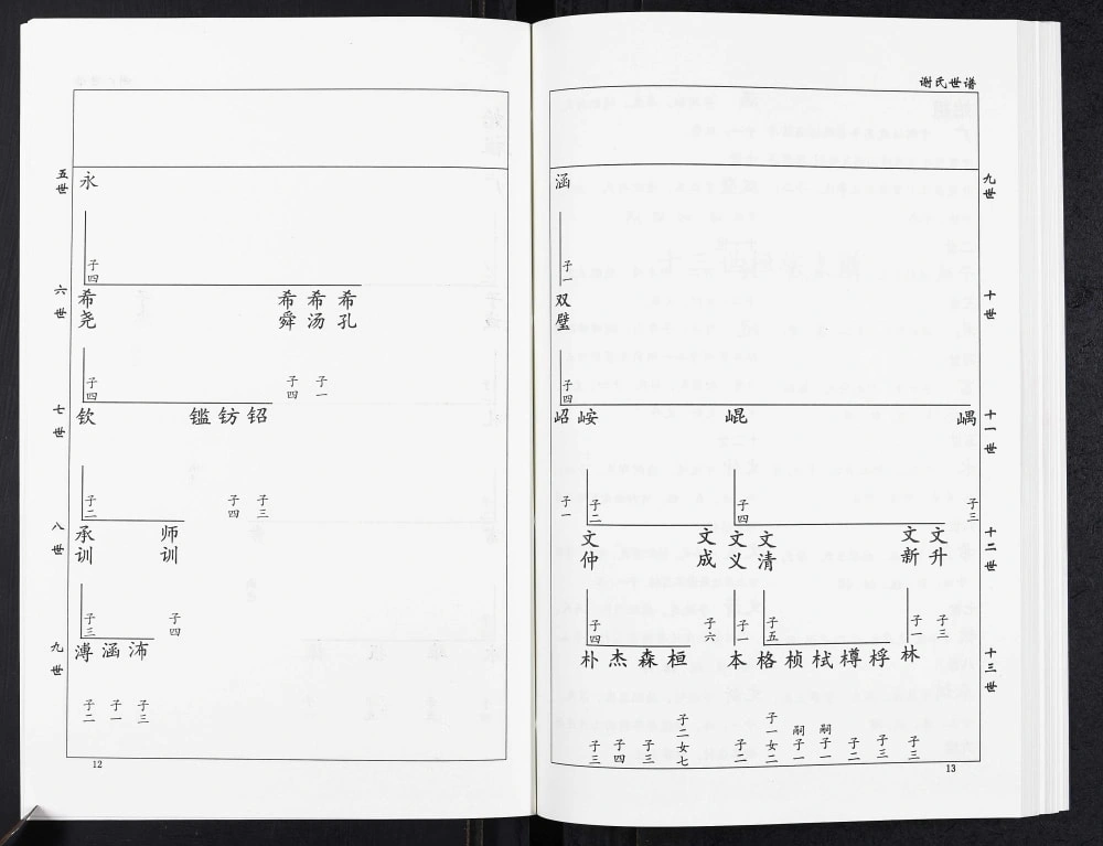 图片[6]-山东淄博桓台县谢氏世谱电子版PDF下载-中华家谱网