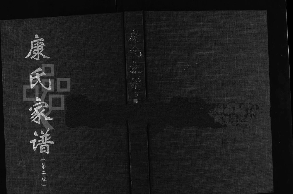 图片[1]-河南周口康氏家谱电子版PDF下载-中华家谱网