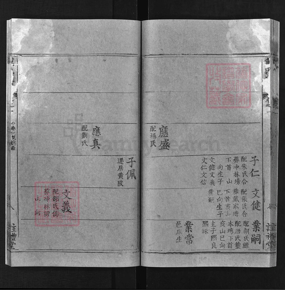 图片[8]-湖北黄冈戴氏一分续修支谱（注礼堂）电子版PDF下载-中华家谱网