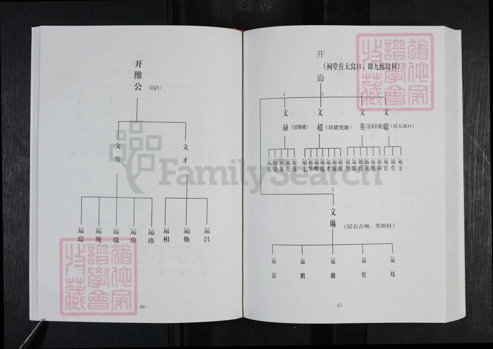 图片[8]-广东广州从化区叶氏源流录天祐祖世系族谱电子版PDF下载-中华家谱网
