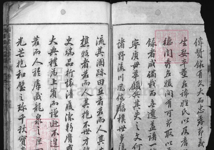 浙江兰溪流川雷氏宗谱（协庆堂）-中华家谱网