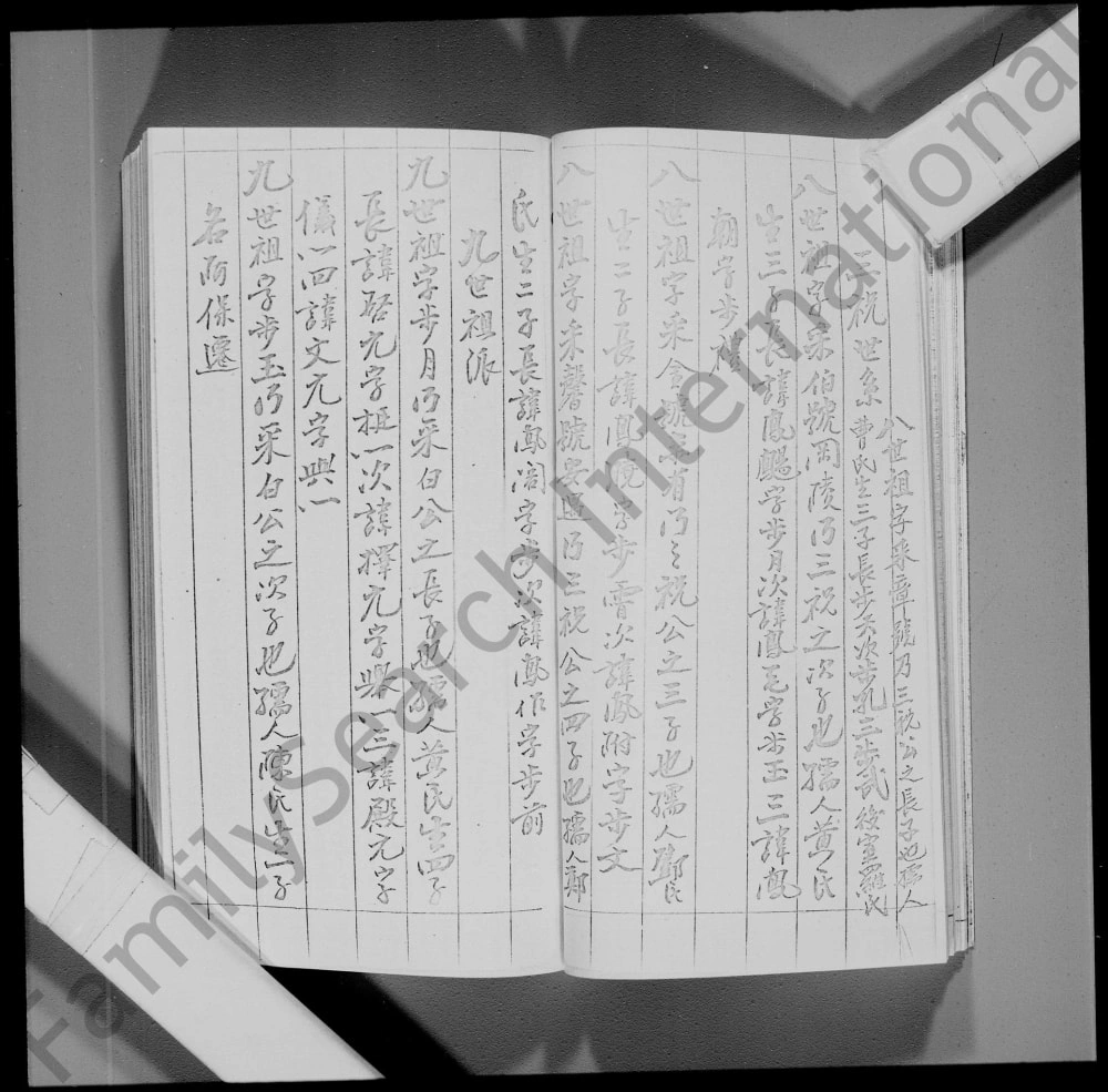 图片[4]-香港林氏族谱电子版PDF下载-中华家谱网