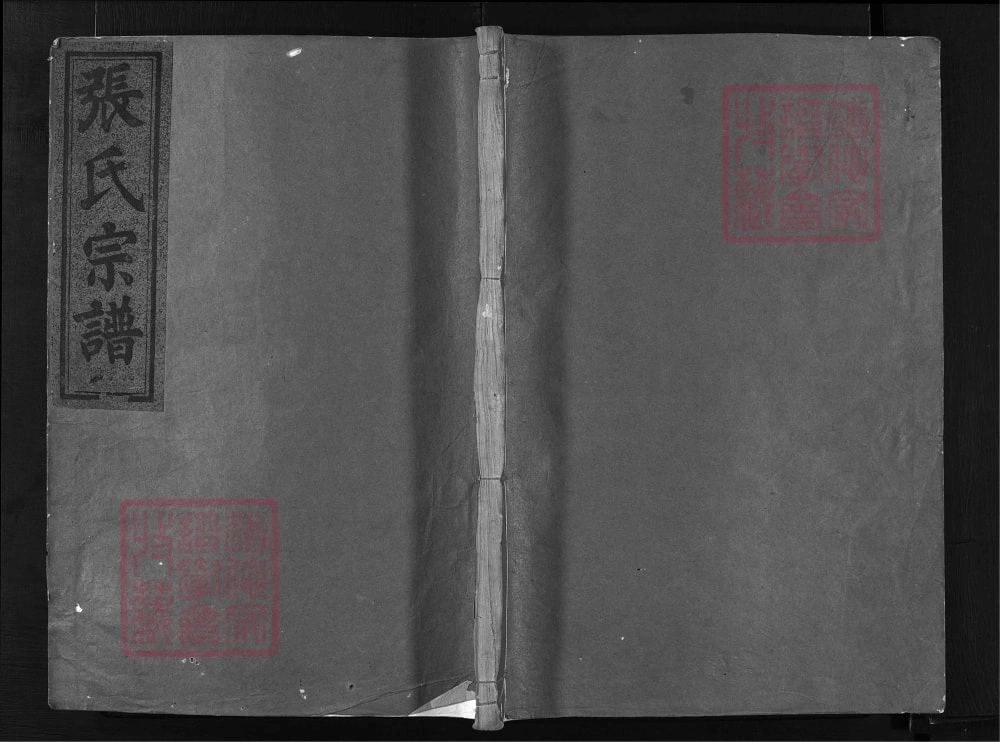 图片[1]-浙江兰溪清河张氏宗谱（孝友堂）电子版PDF下载-中华家谱网