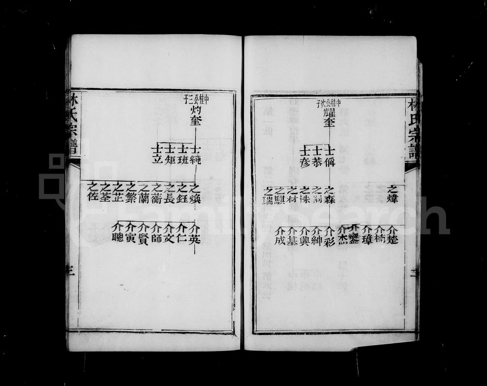 图片[5]-安徽蚌埠怀远林氏宗谱电子版PDF下载-中华家谱网