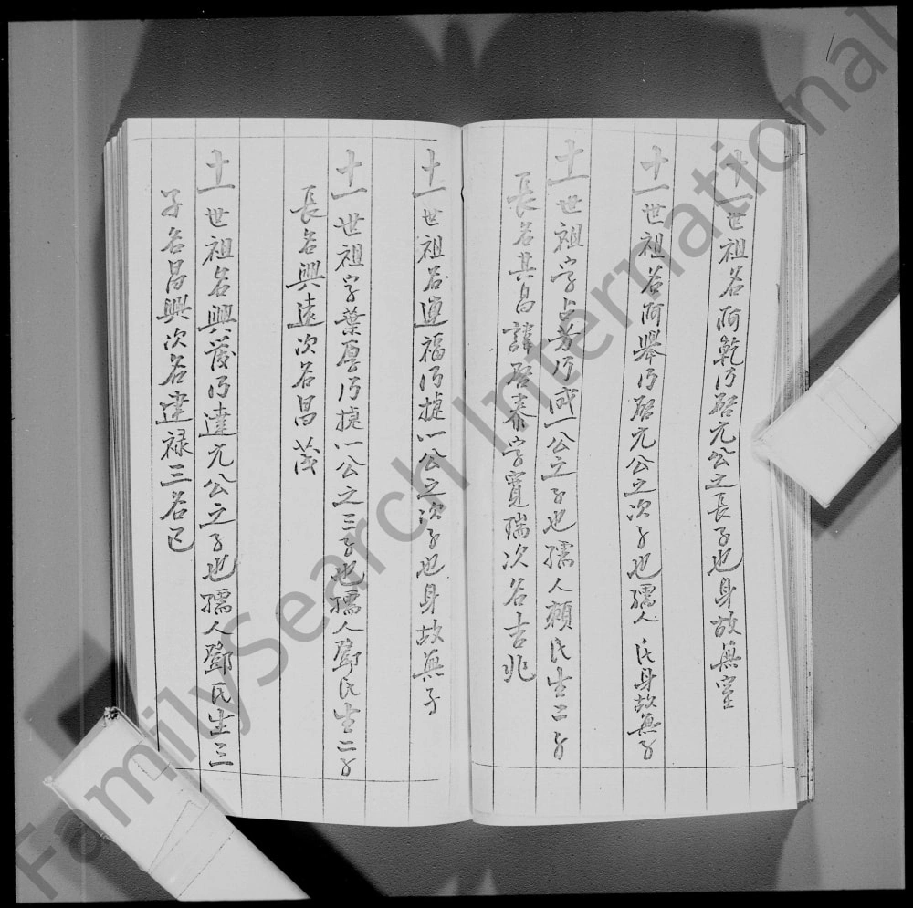 图片[7]-香港林氏族谱电子版PDF下载-中华家谱网