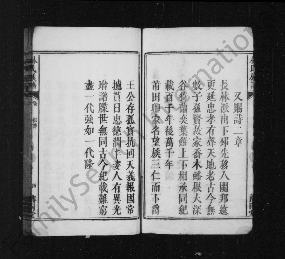 图片[3]-湖南邵阳林氏族谱（济南堂）电子版PDF下载-中华家谱网